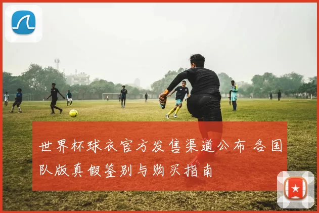 世界杯球衣官方发售渠道公布 各国队版真假鉴别与购买指南