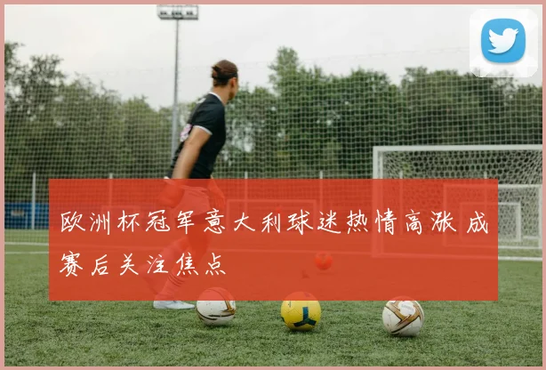 欧洲杯冠军意大利球迷热情高涨 成赛后关注焦点