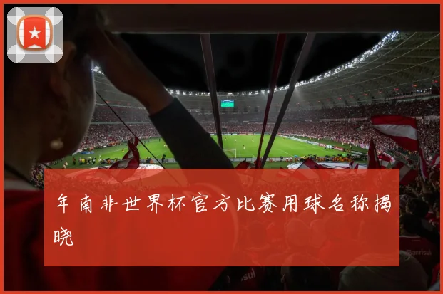 年南非世界杯官方比赛用球名称揭晓