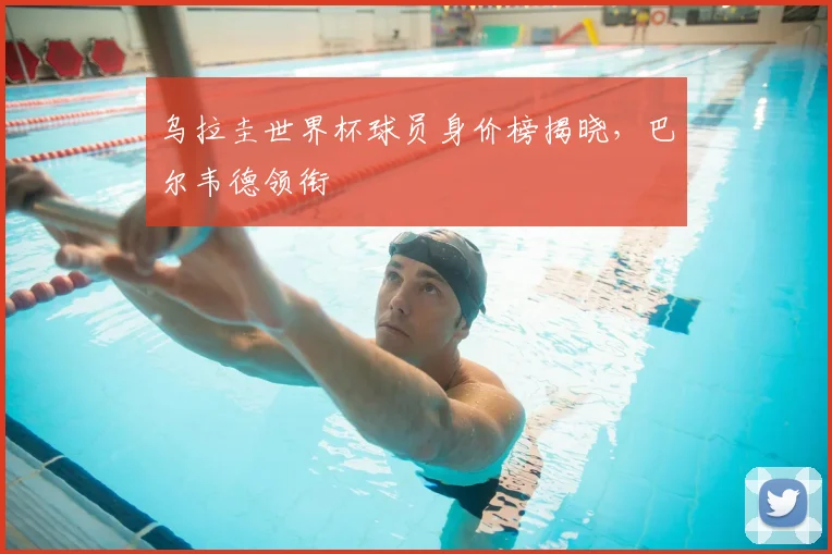 乌拉圭世界杯球员身价榜揭晓,巴尔韦德领衔