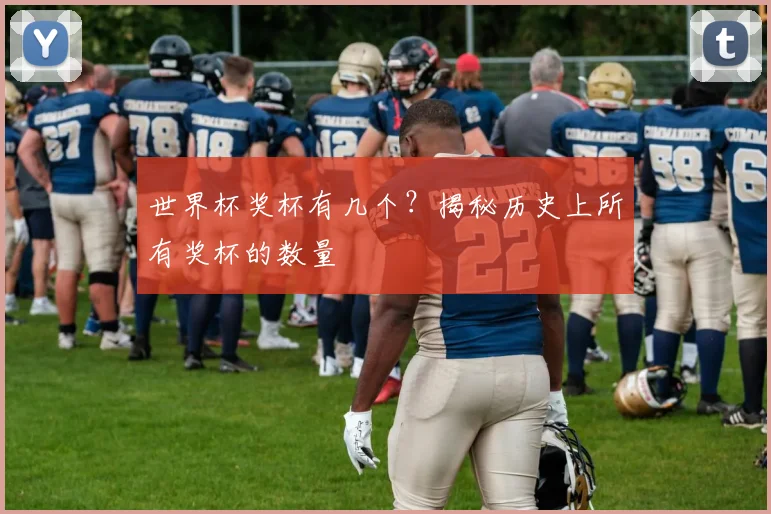 世界杯奖杯有几个?揭秘历史上所有奖杯的数量