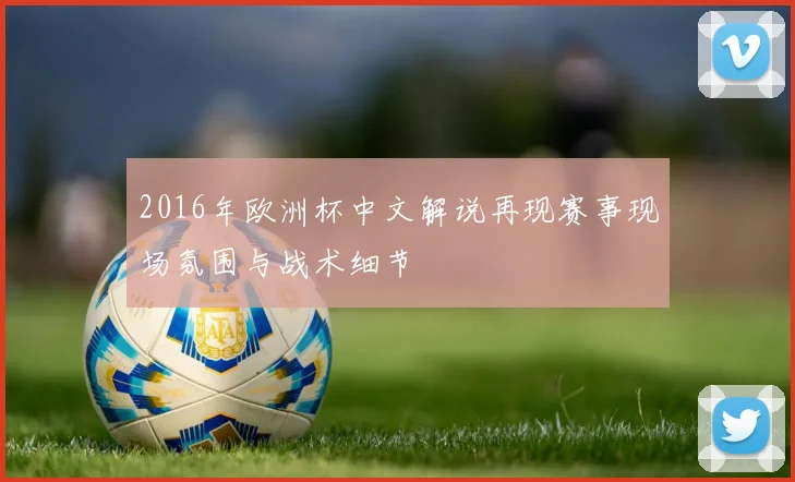 2016年欧洲杯中文解说再现赛事现场氛围与战术细节