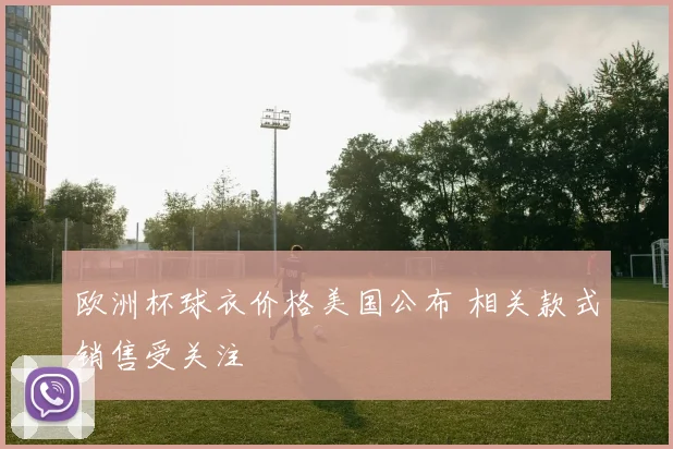 欧洲杯球衣价格美国公布 相关款式销售受关注