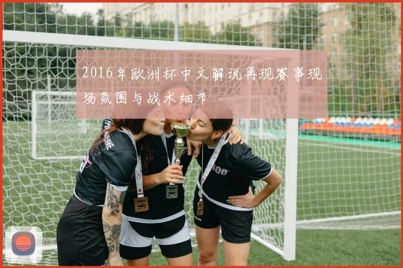 2016年欧洲杯中文解说再现赛事现场氛围与战术细节
