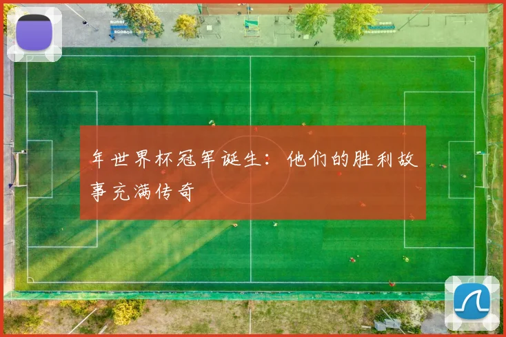 年世界杯冠军诞生：他们的胜利故事充满传奇