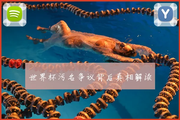 世界杯污名争议背后真相解读