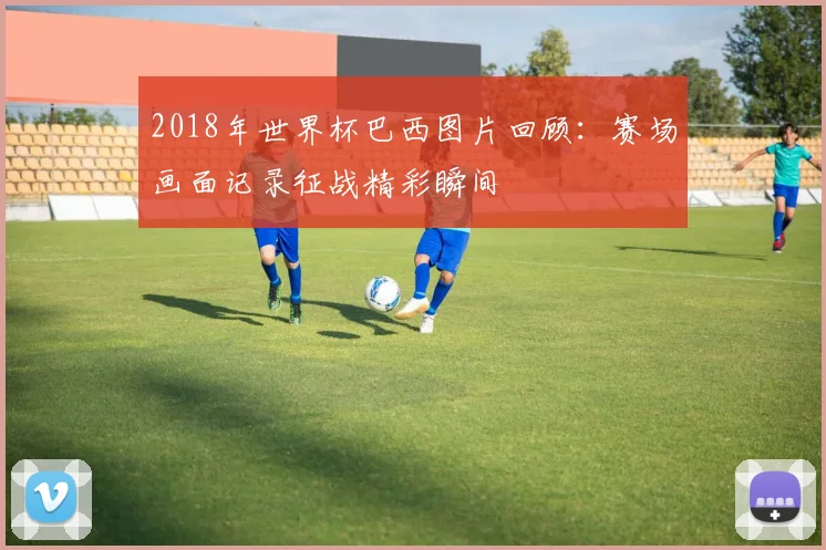 2018年世界杯巴西图片回顾：赛场画面记录征战精彩瞬间