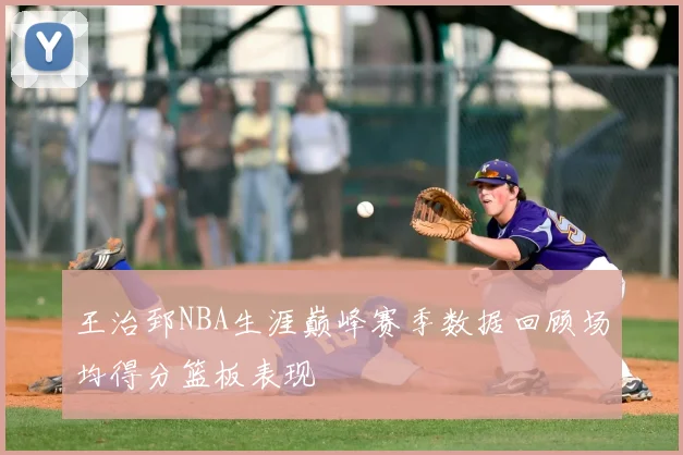王治郅NBA生涯巅峰赛季数据回顾场均得分篮板表现