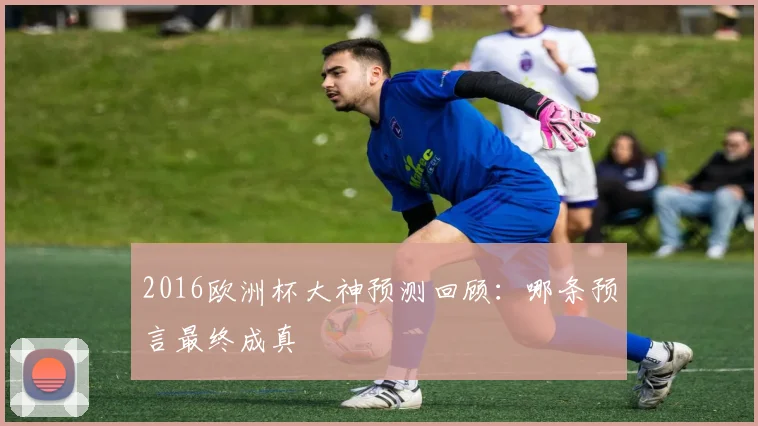 2016欧洲杯大神预测回顾:哪条预言最终成真