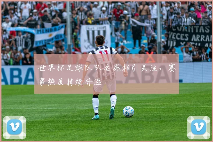 世界杯足球队队名亮相引关注，赛事热度持续升温