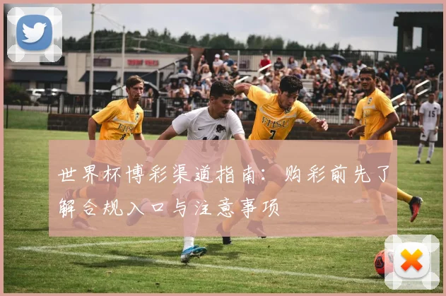 世界杯博彩渠道指南：购彩前先了解合规入口与注意事项