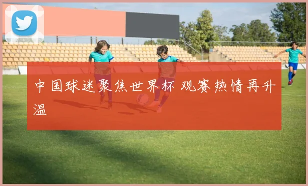 中国球迷聚焦世界杯 观赛热情再升温